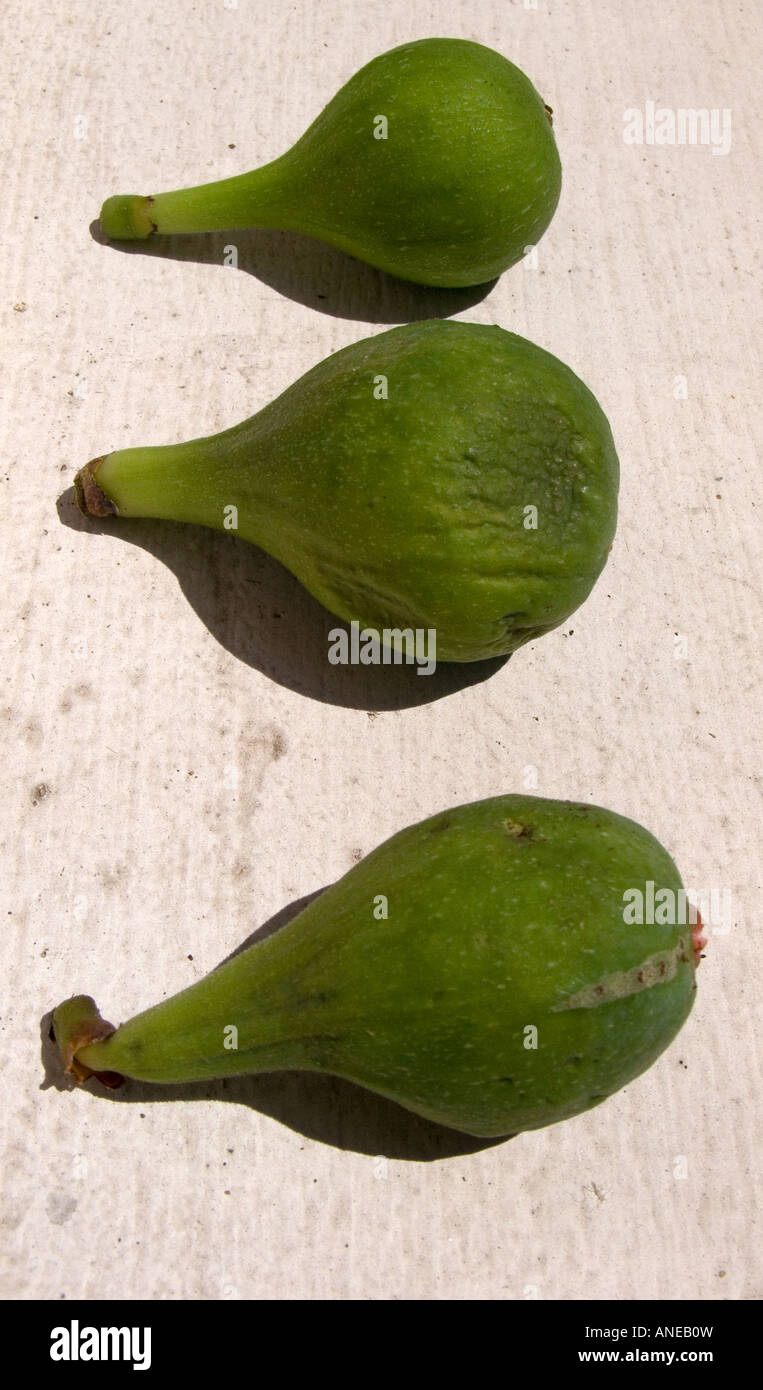 3 Ripe Figs 3 figs hi-res stock photography and images - Alamy