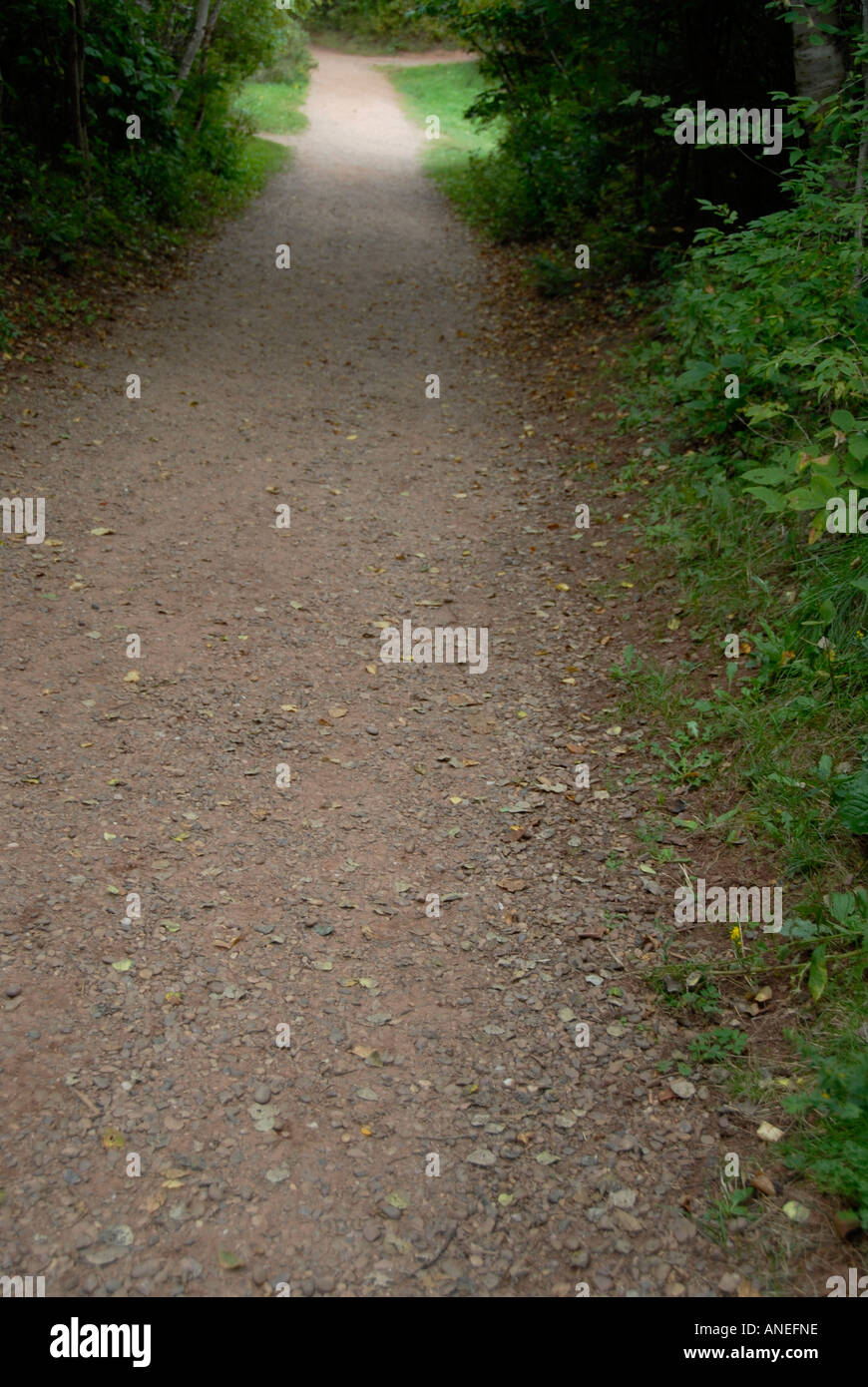 Lover's Lane Path Anne of Green Gables House, Cavendish, Prince Edward