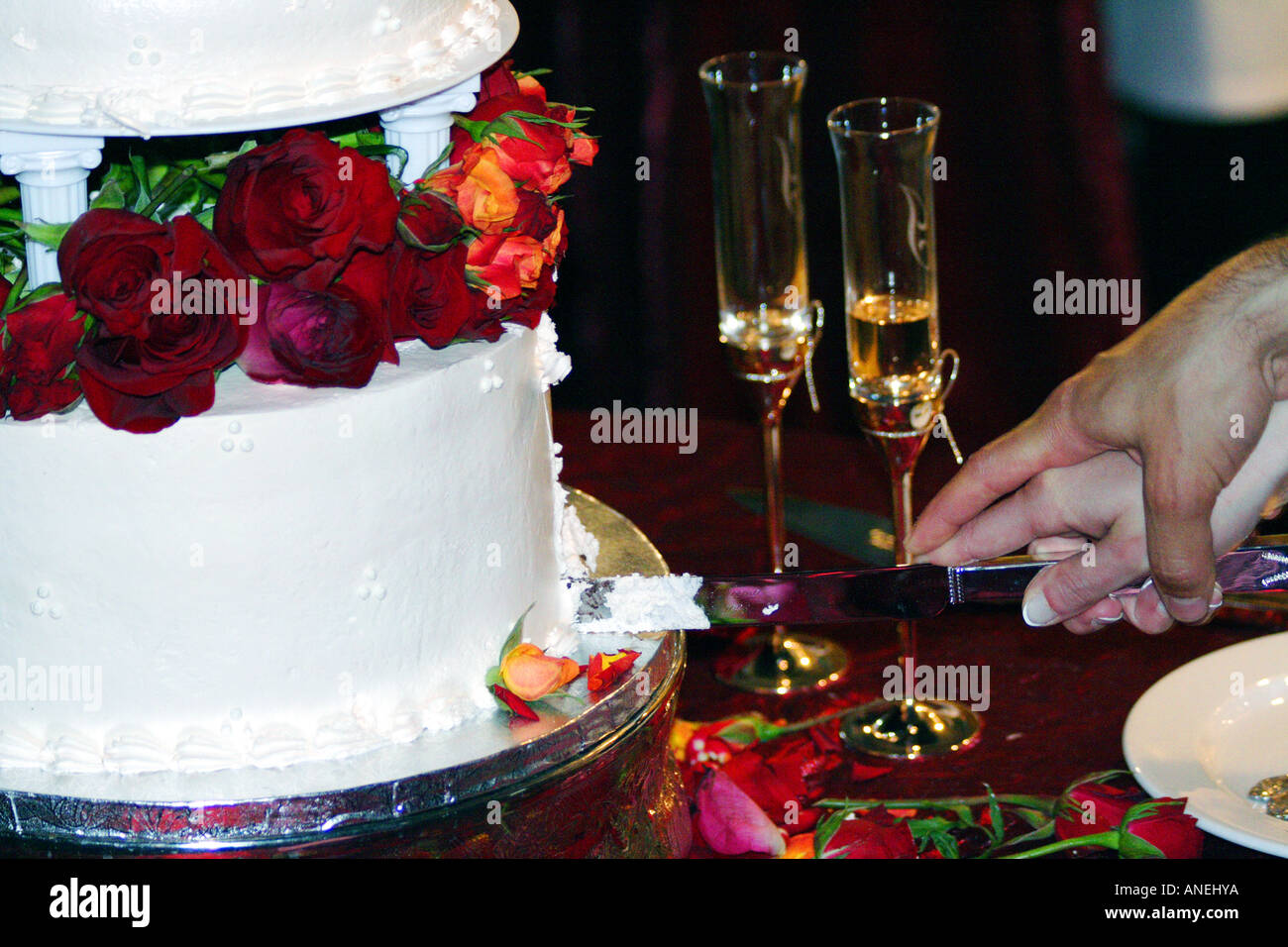 Cutting into a Wedding Cake with Flower Peddals Stock Photo