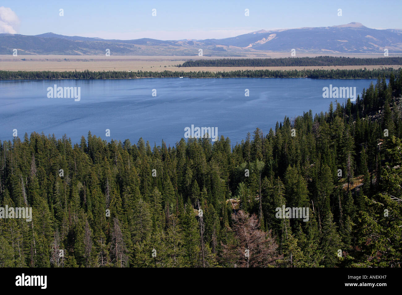 Lake Jenny, Grand Tetons, Wyoming Stock Photo