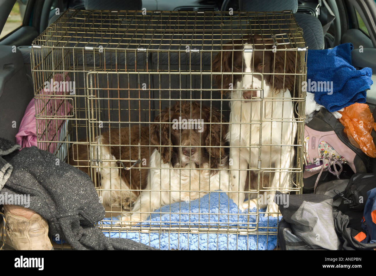 Estate car boot hi-res stock photography and images - Alamy