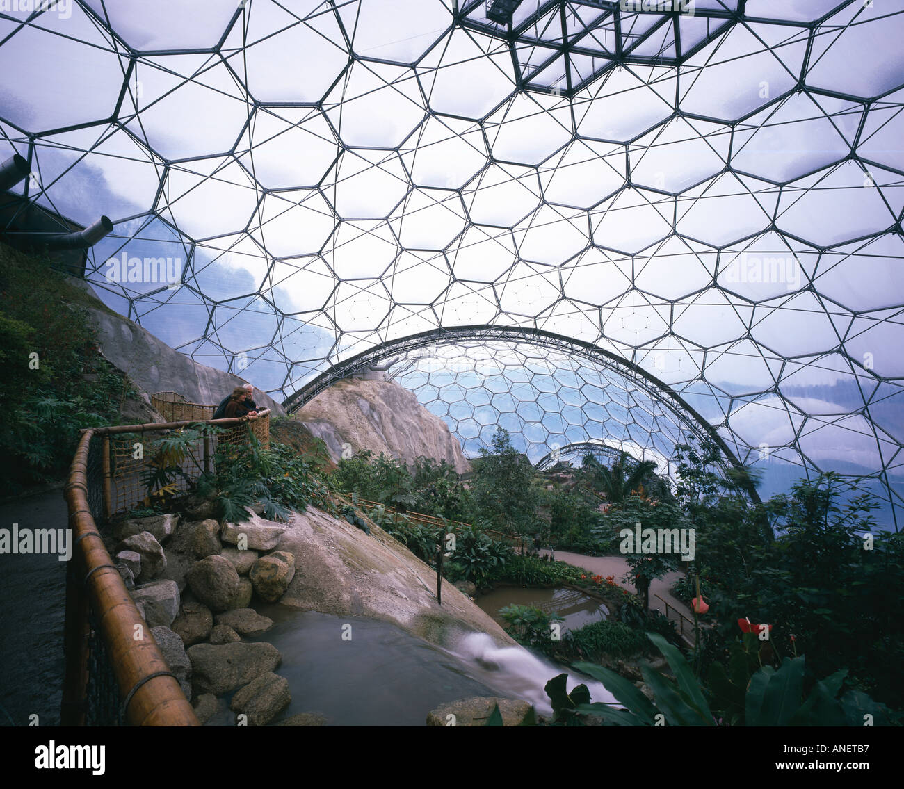 Eden Project, Bodelva, St Austell, Cornwall. Tropical "biome". Architect: Nicholas Grimshaw and Partners Stock Photo