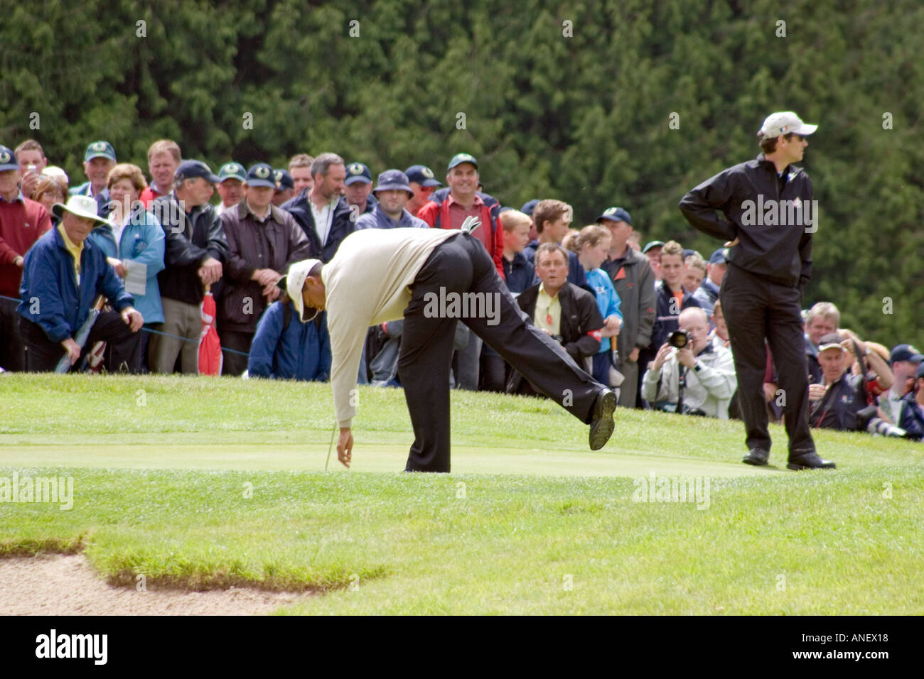 Golfer Tiger Woods, putting ball on green at Adare, Ireland. Stock Photo