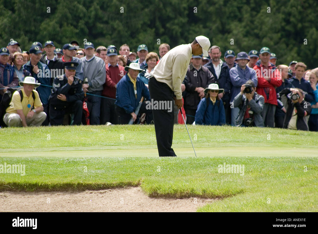 Golfer Tiger Woods, putting ball on green at Adare, Ireland. Stock Photo