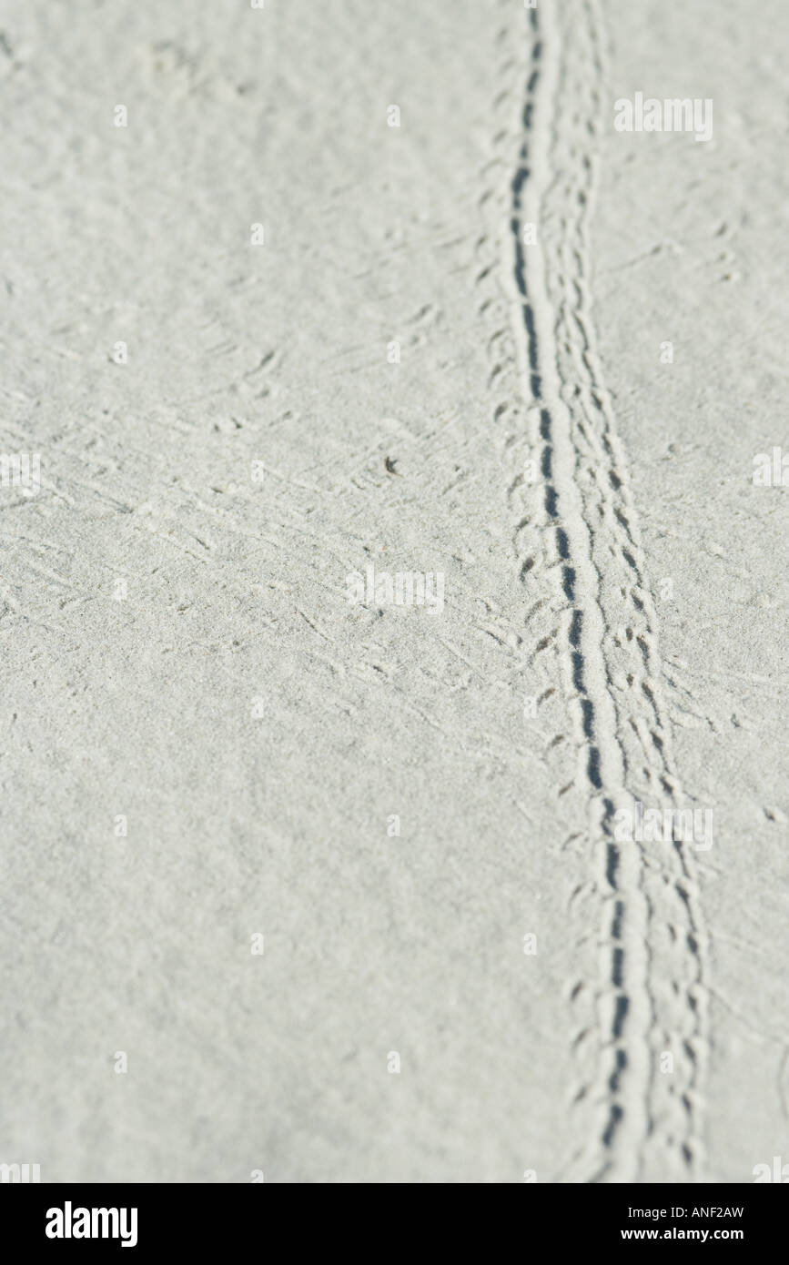 Bicycle tire track on sand Stock Photo Alamy