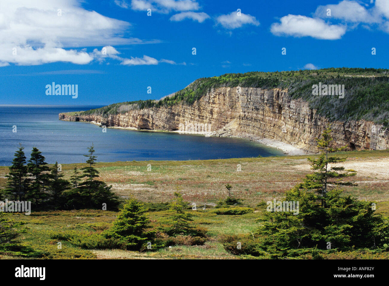 Coast shoreline along Saint George's Bay Port Au Port Peninsula, Newfoundland, Canada. Stock Photo