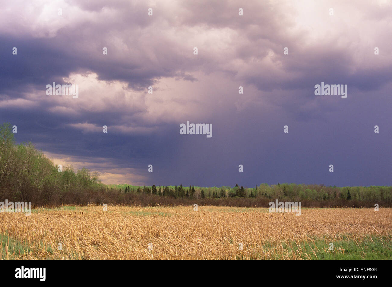 Riding Mountain National Park, Manitoba, Canada Stock Photo Alamy
