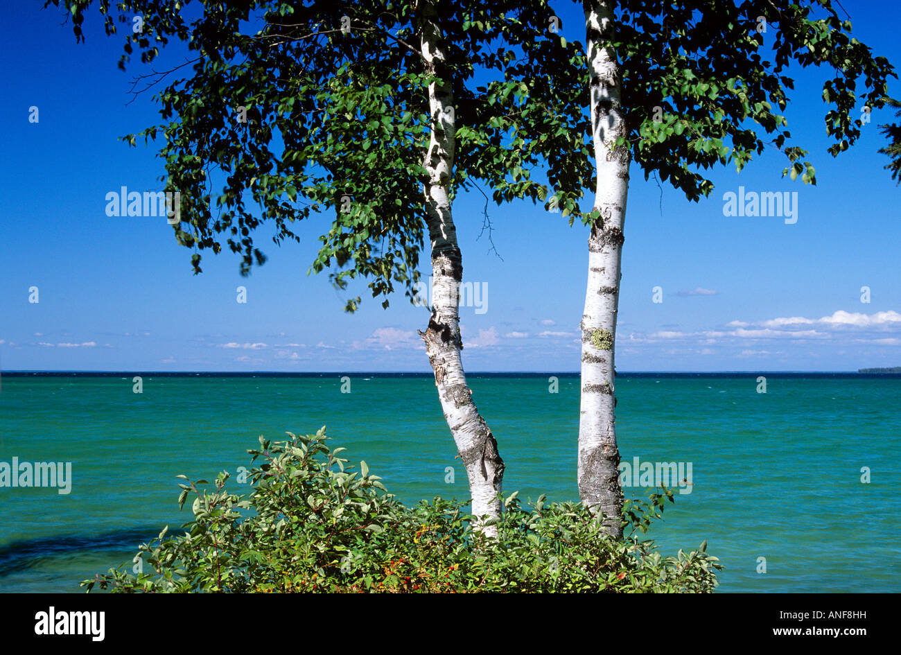 Clearwater Lake, Clearwater Provincial Park, Manitoba, Canada Stock