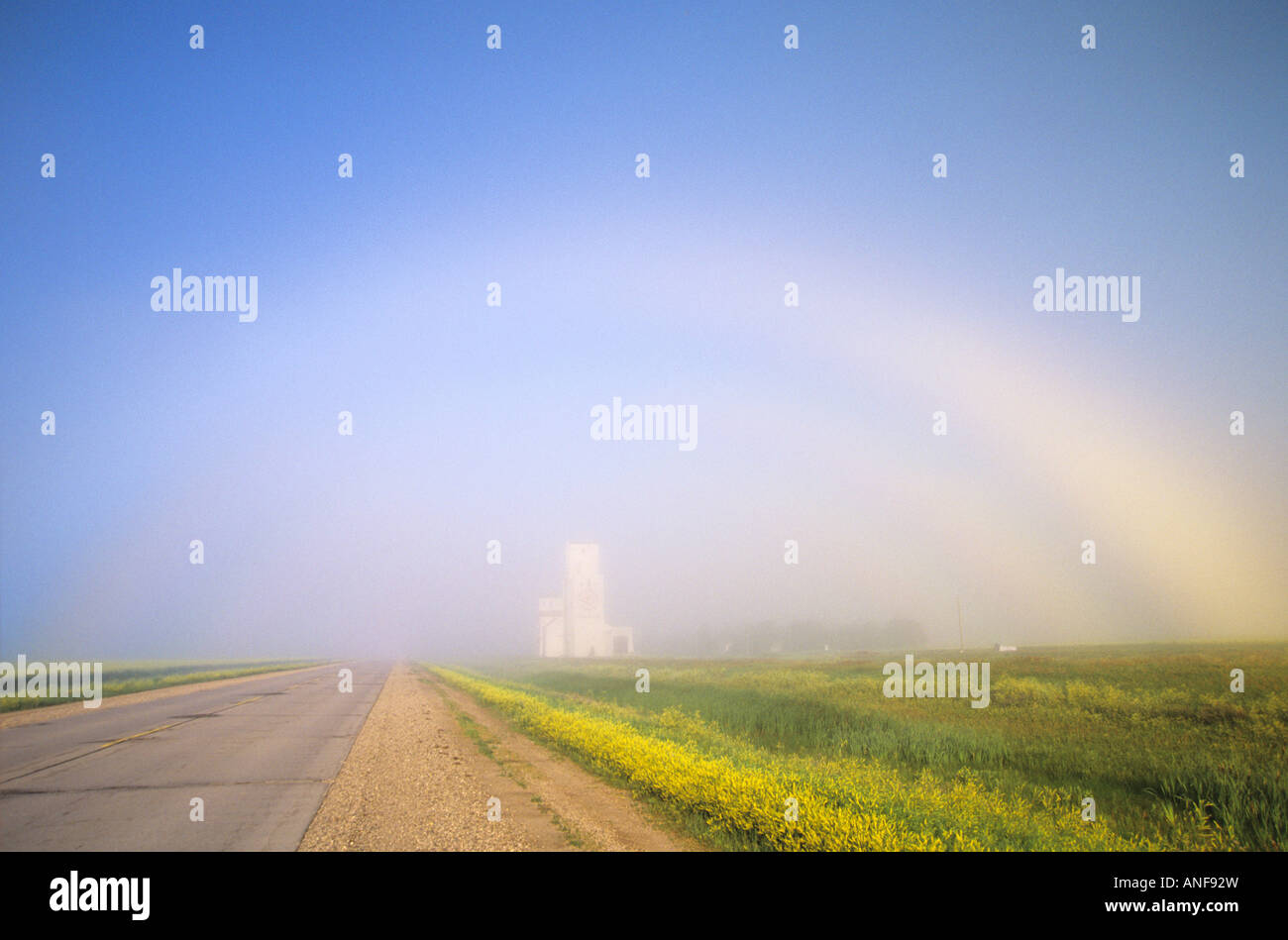 White Rainbow over canola and grain elevator near Fannystelle, Manitoba, Canada. Stock Photo