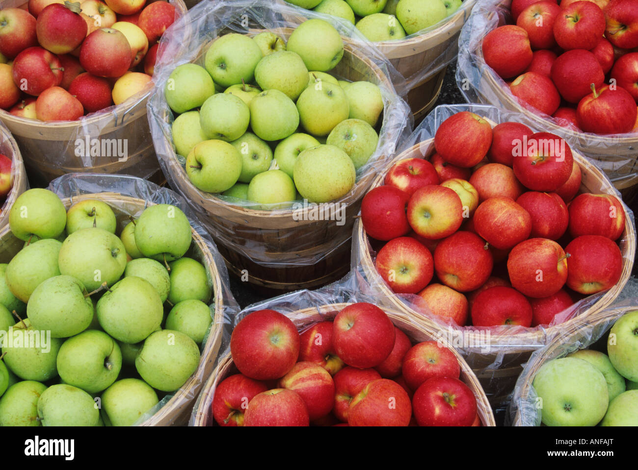 Apples in the Kitchener Market, Kitchener, Ontario, Canada. Stock Photo