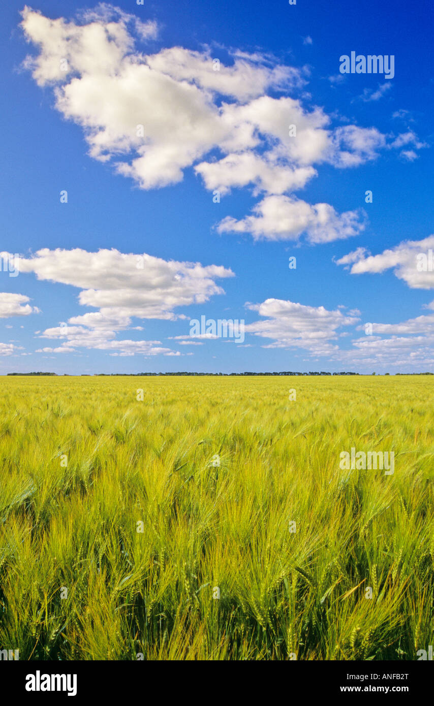 Pilot mound hires stock photography and images Alamy