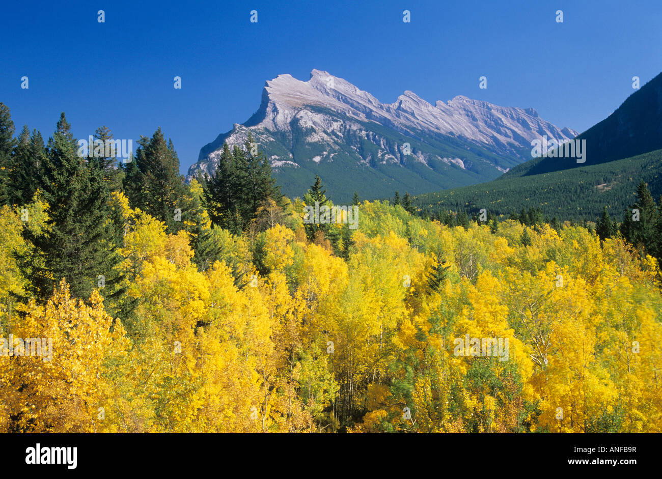 Fall Foliage Banff Stock Photos & Fall Foliage Banff Stock Images Alamy