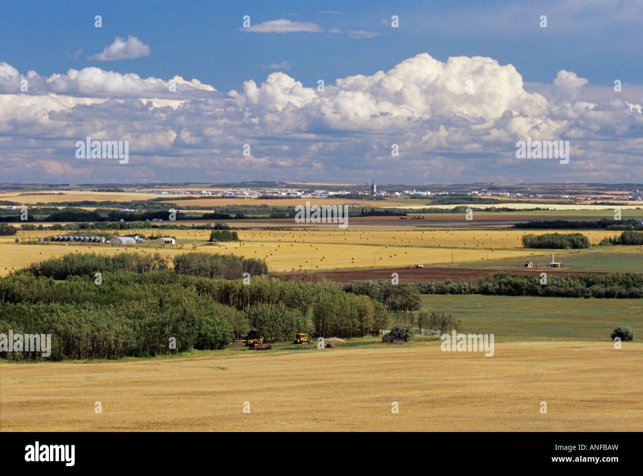 Farmland, Grand Prairie, Alberta, Canada Stock Photo Alamy