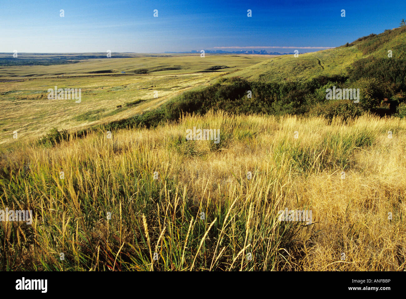 Grasslands, Head Smashed In Provincial Park, Alberta, Canada Stock Photo Alamy