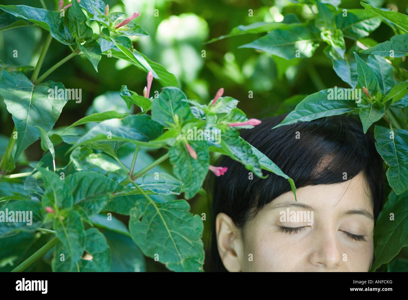Young woman among flowering plant, eyes closed, cropped view Stock Photo