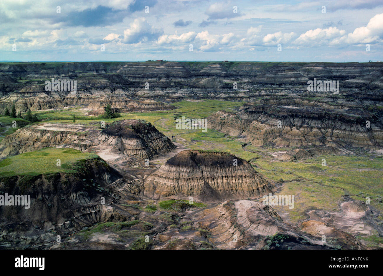 Horseshoe Canyon, The Badlands, Drumheller, Alberta, canada Stock Photo