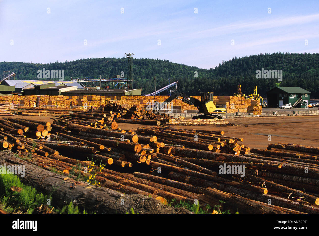 Lumber yard, Lady Smith, Vancouver Island, British Columbia, Canada