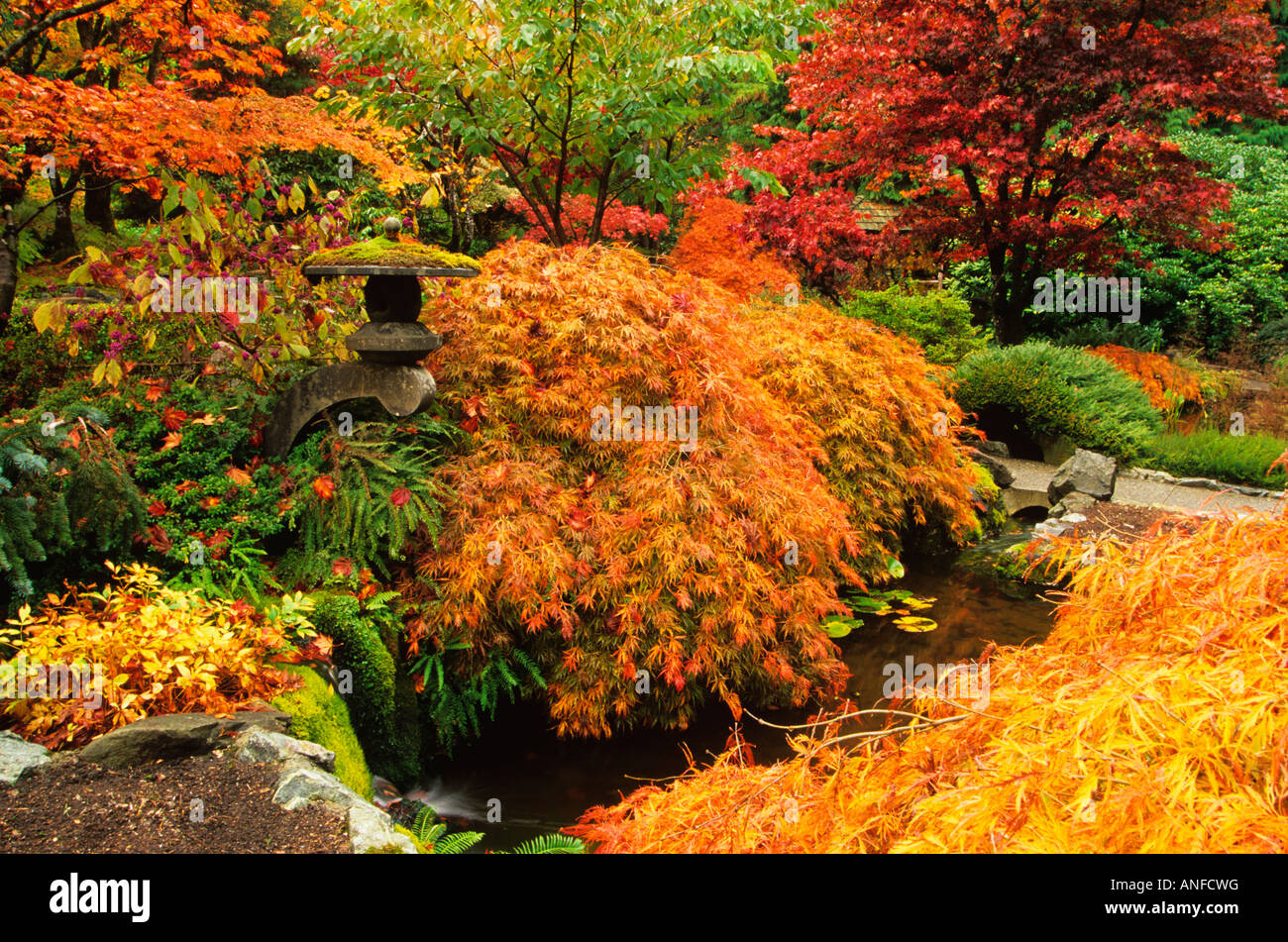 Autumn colors in Butchart Gardens, Victoria, Vancouver Island, British