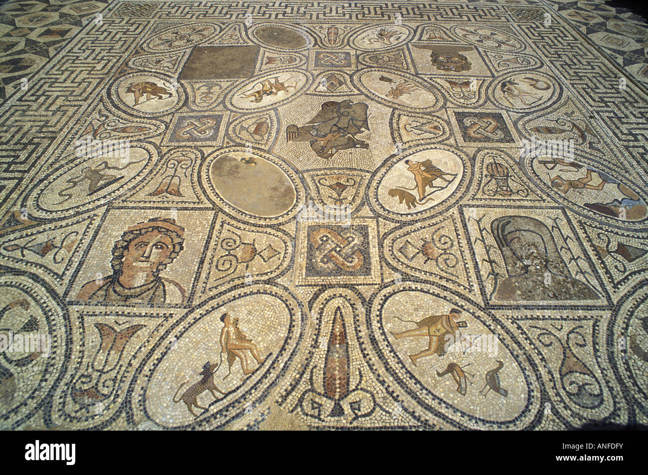 Detail of mosaics in the Roman ruins at Volubilis Morocco North Africa Stock Photo
