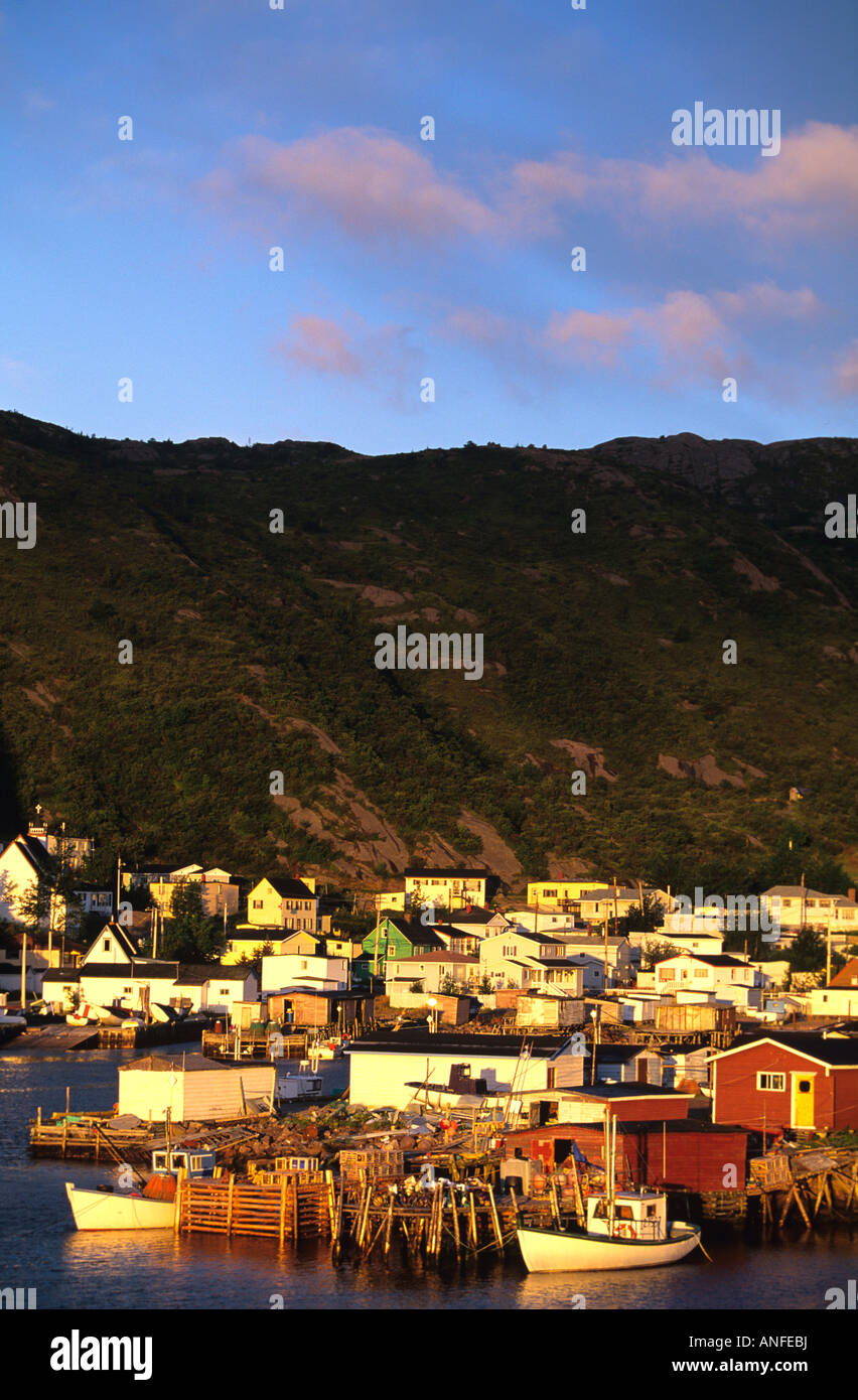 Petty harbor maddox cove hires stock photography and images Alamy