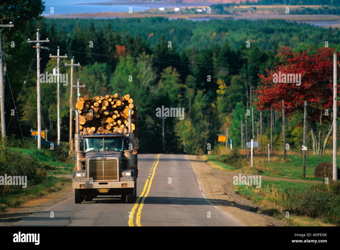 Truck hauling logs Ecomoy Mountain, Nova Scotia, Canada Stock Photo