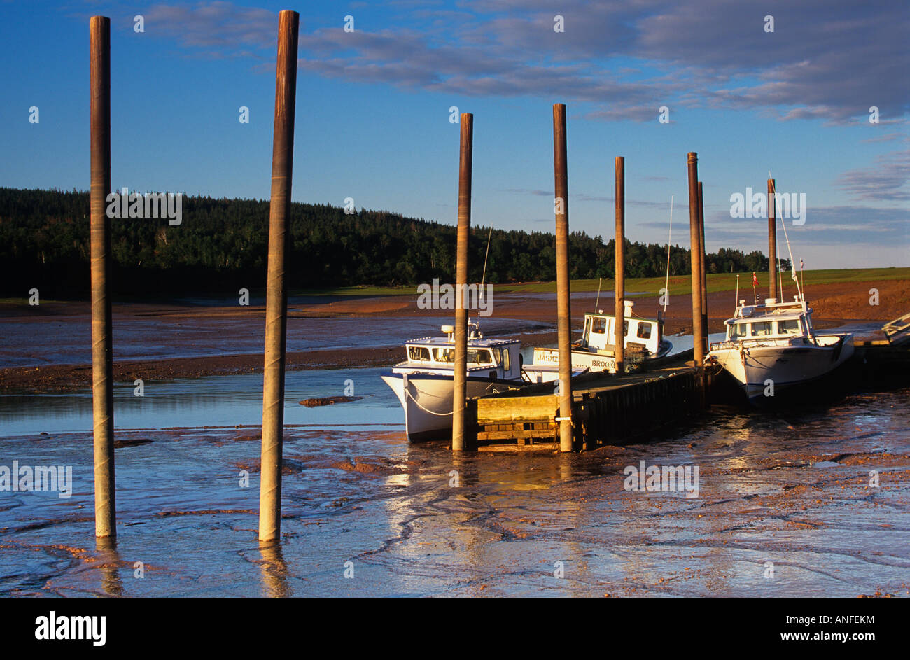 Low tide, Five Islands, Nova Scotia, Canada Stock Photo Alamy