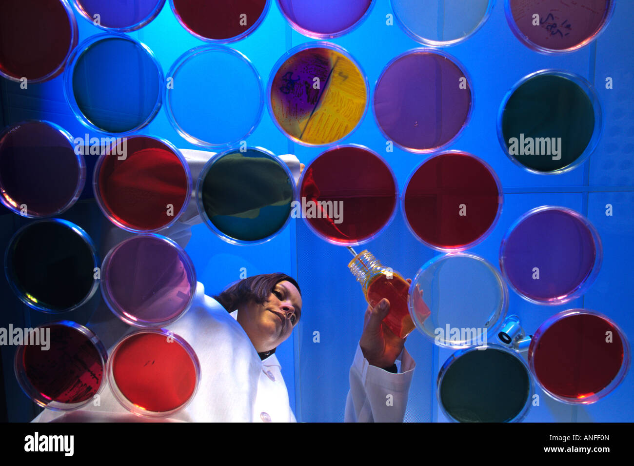 Labratory food hires stock photography and images Alamy