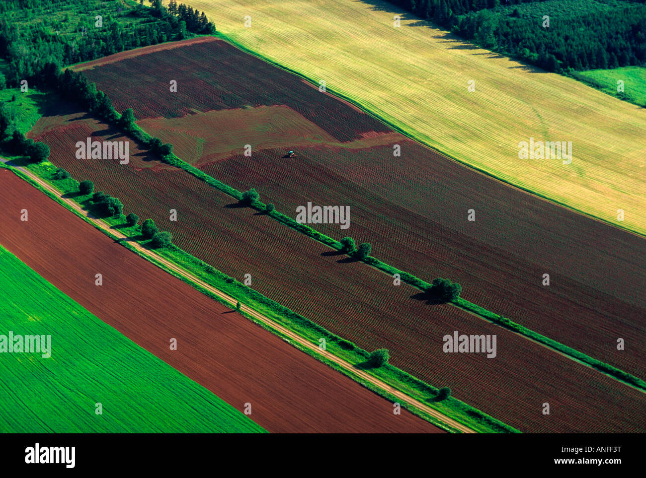 Aerial, Harrowing potatoes, Nine Mile Creek, Prince Edward Island