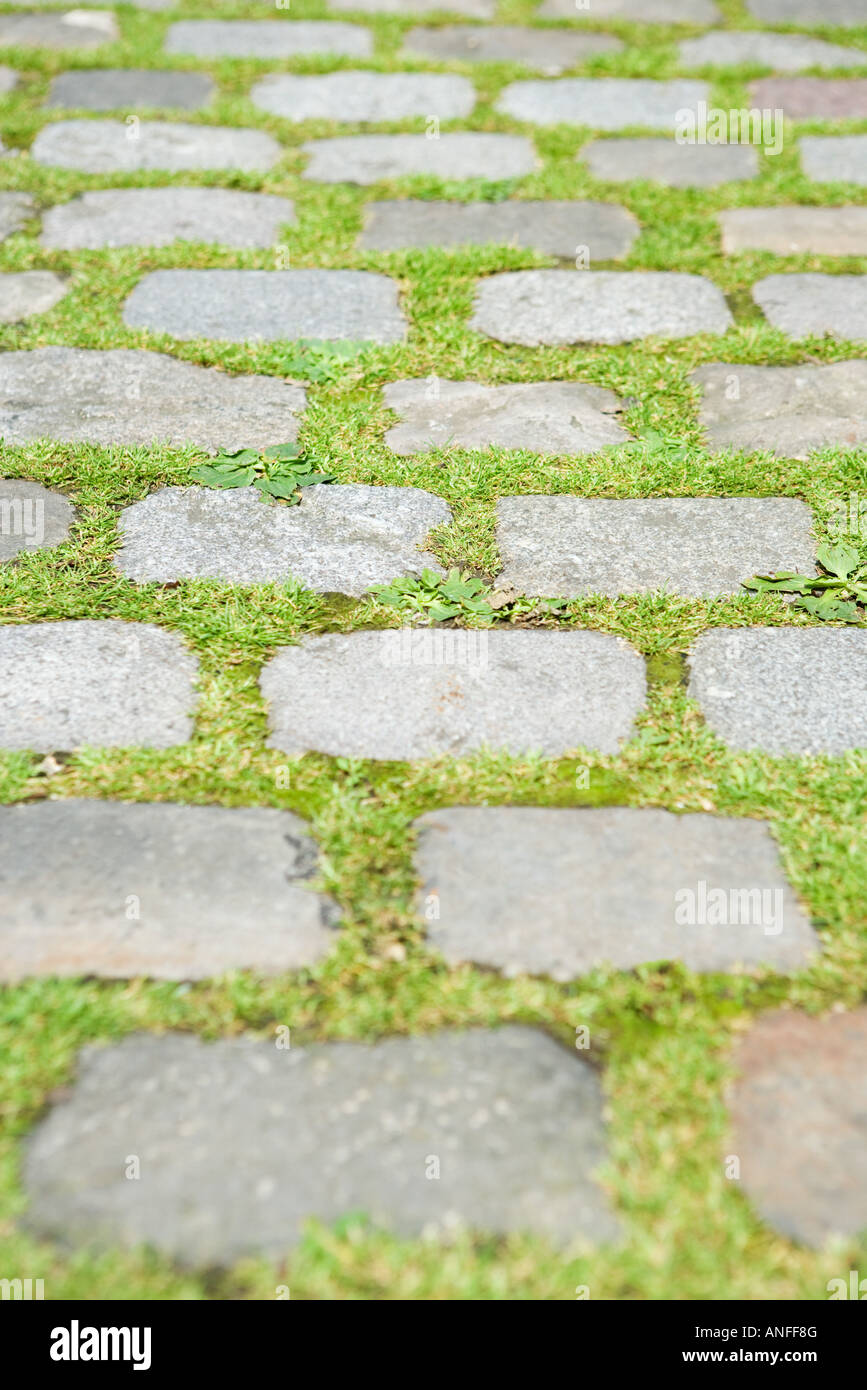 Grass growing between paving stones, full frame Stock Photo Alamy