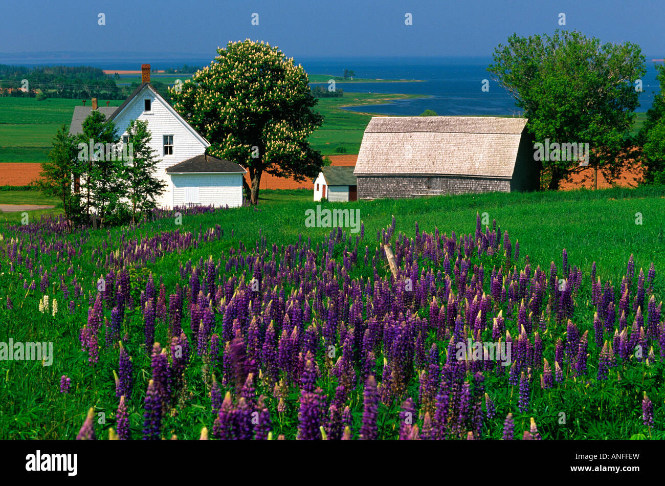 Orwell prince edward island hires stock photography and images Alamy