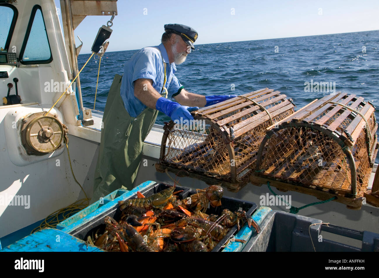 Lobster Season Pei 2025 Gerty Juliann