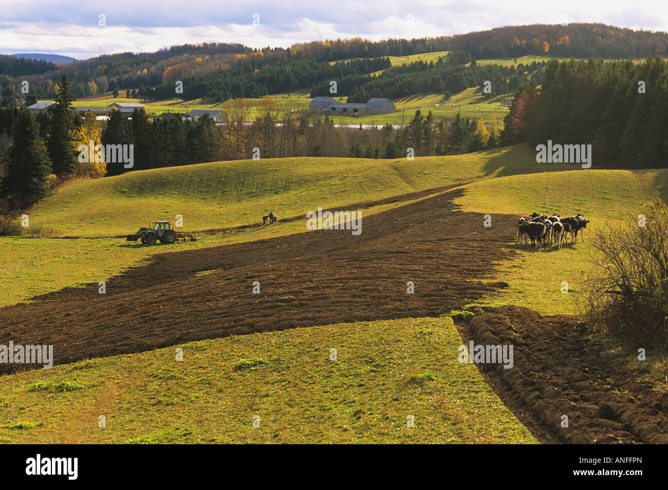 Lac au saumon hires stock photography and images Alamy