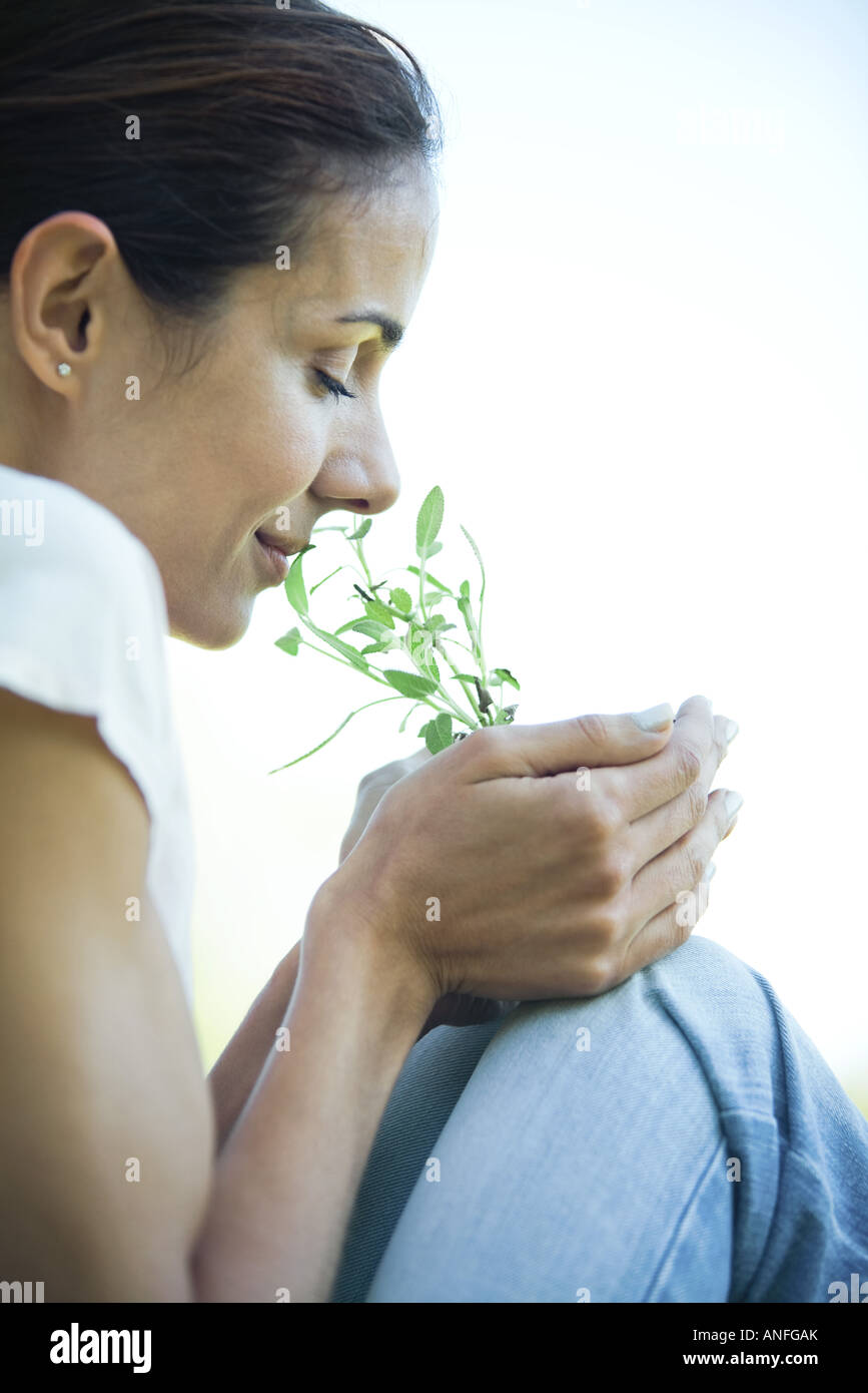 Woman smelling herbs, cropped view Stock Photo