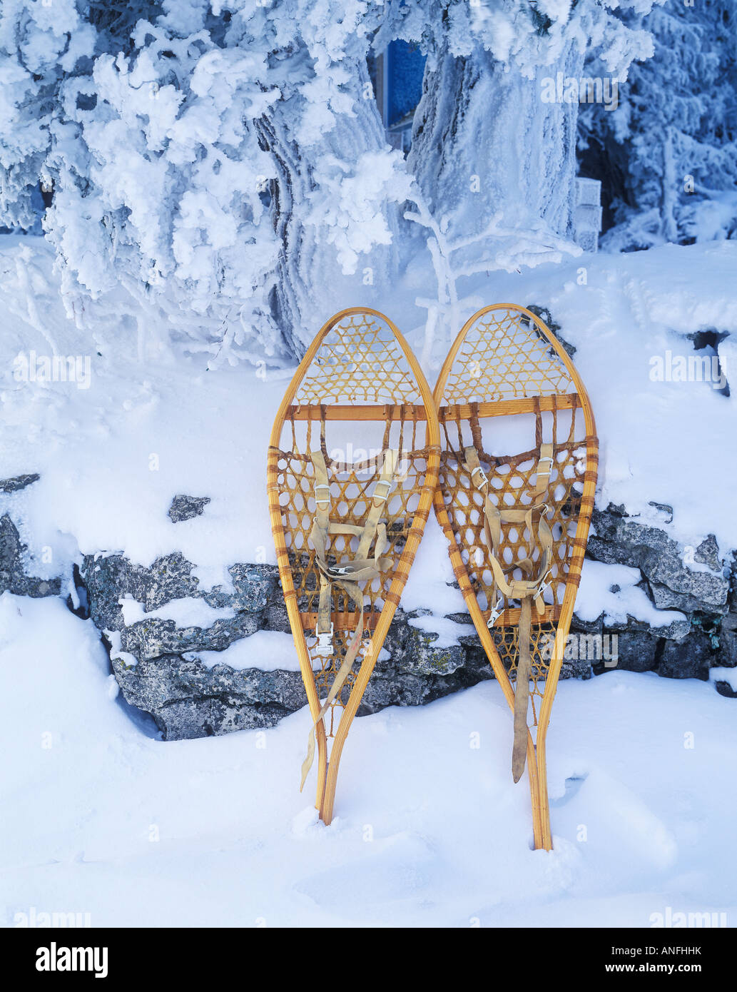 Winter in the bruce peninsula hires stock photography and images Alamy