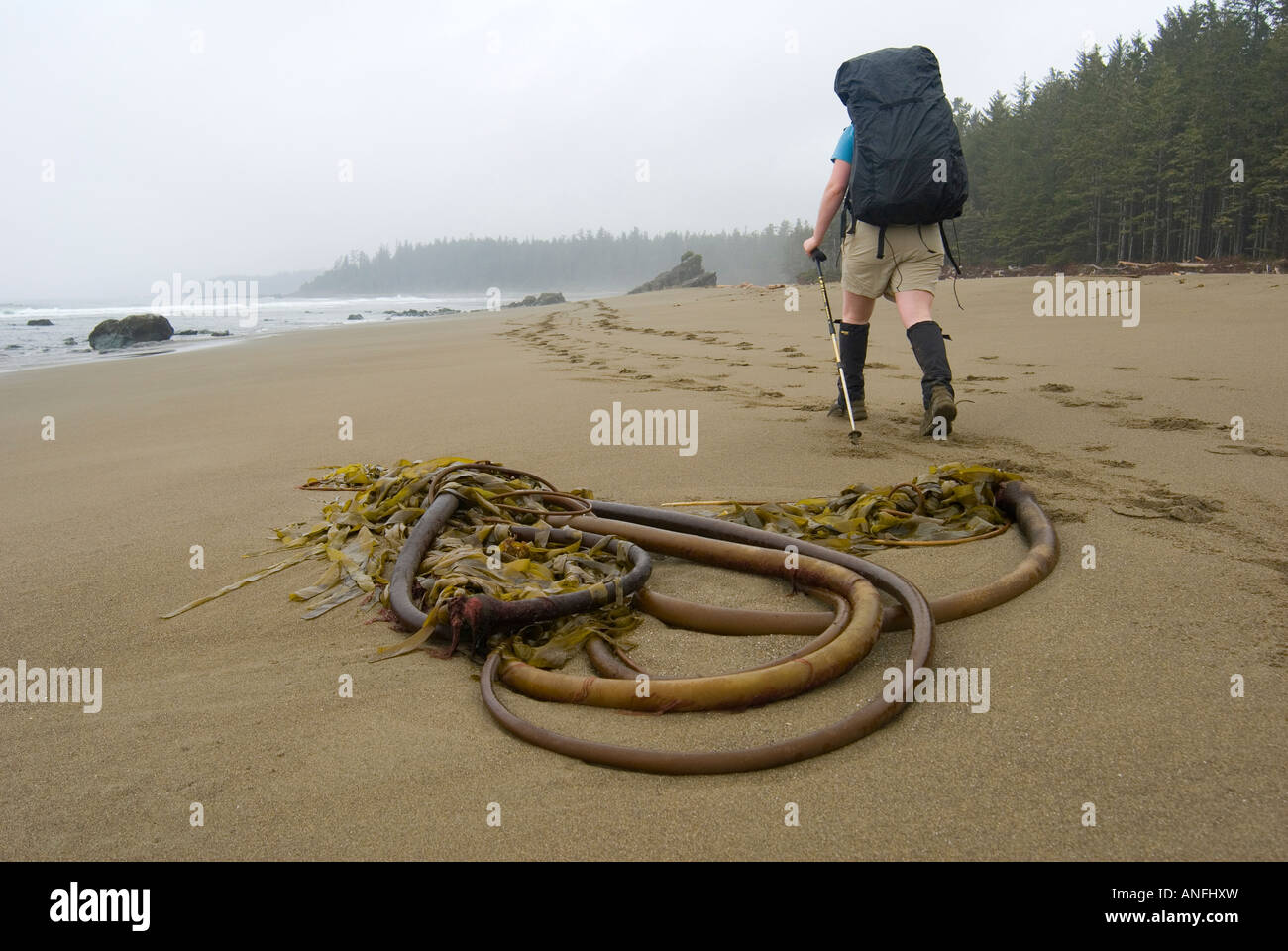 Sandy Beach Near Coal And Cribs Creeks West Coast Trail Pacific