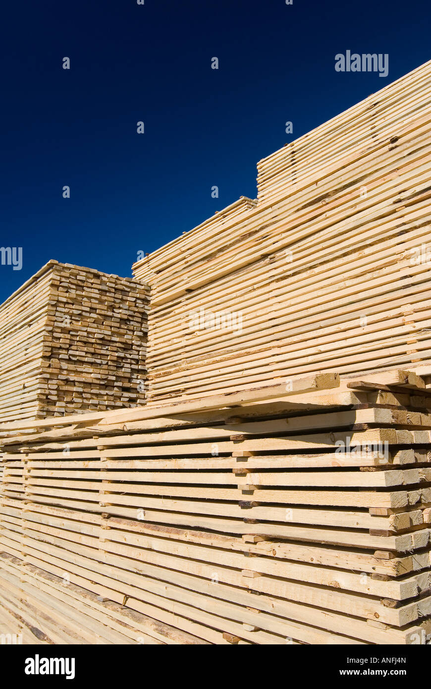 Lumber drying at the mill, Williams Lake, british columbia, canada