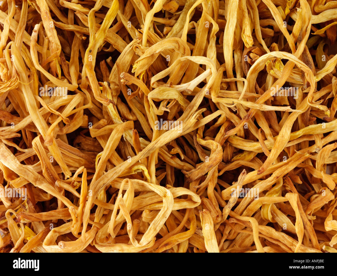 CHINESE DRIED LILY FLOWERS Stock Photo Alamy