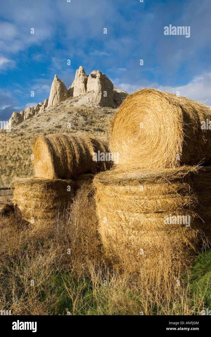 hay bails form a foreground for hoodoos just East of Kamloops British Columbia, Canada. Stock Photo