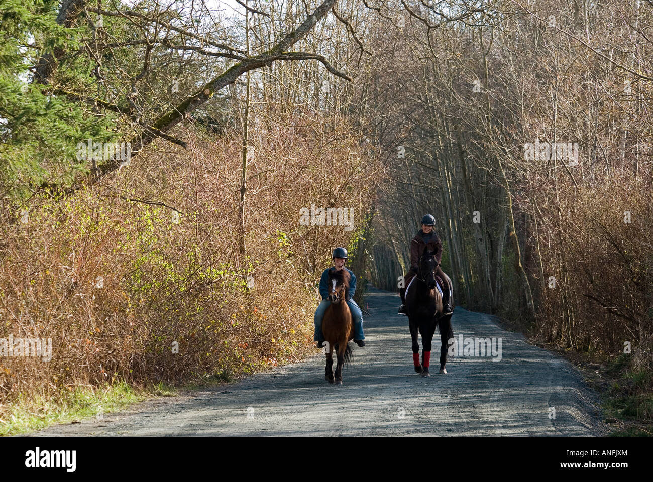 horse back riding on lochside trail, victoria, british columbia, canada. Stock Photo