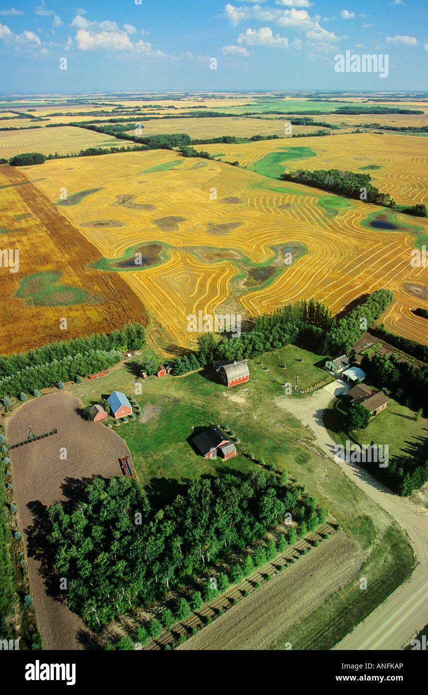 Aerial of farming in saskatchewan, Canada Stock Photo Alamy