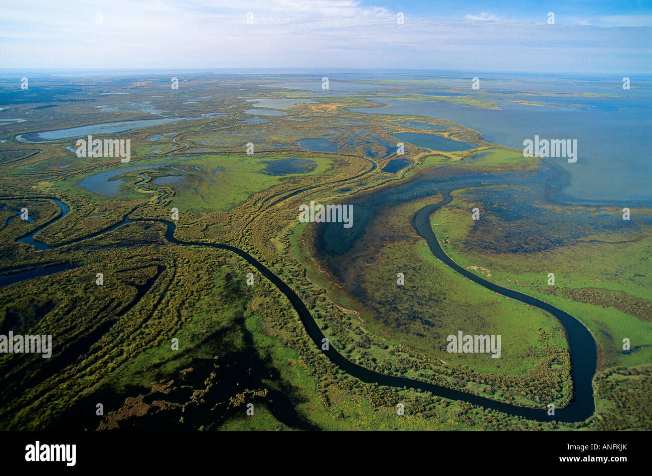 aerial of Wood buffalo national park, canada's largest national park Stock  Photo - Alamy