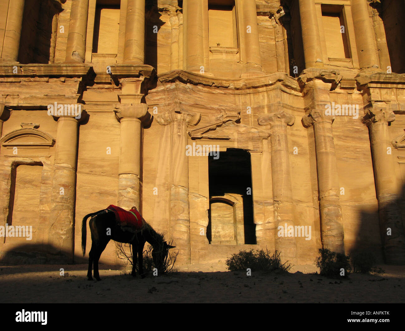 Petra tourism hi-res stock photography and images - Alamy