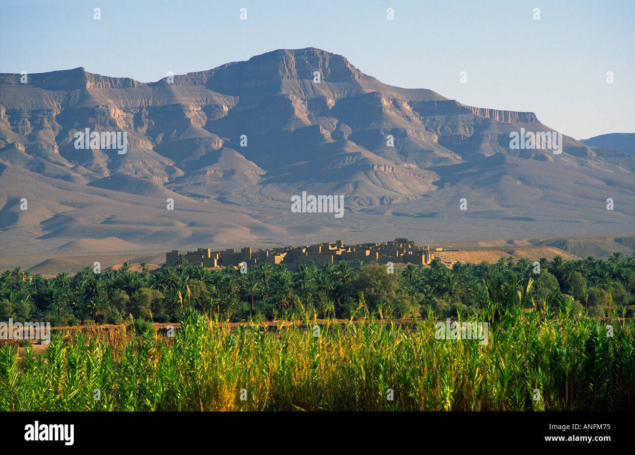 Oldmud-brick town above a palmerie in the Draa Valley. Southern Morocco Stock Photo
