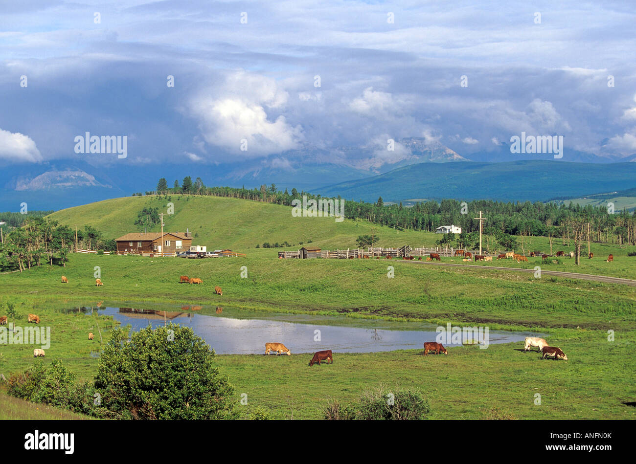 Ranchland in Cochrane, Alberta, Canada Stock Photo 15514578 Alamy