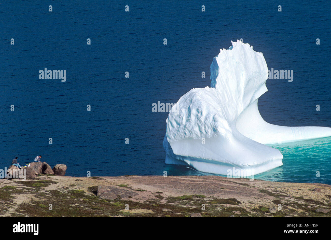 Iceberg off St. John's, Newfoundland, Canada. Stock Photo