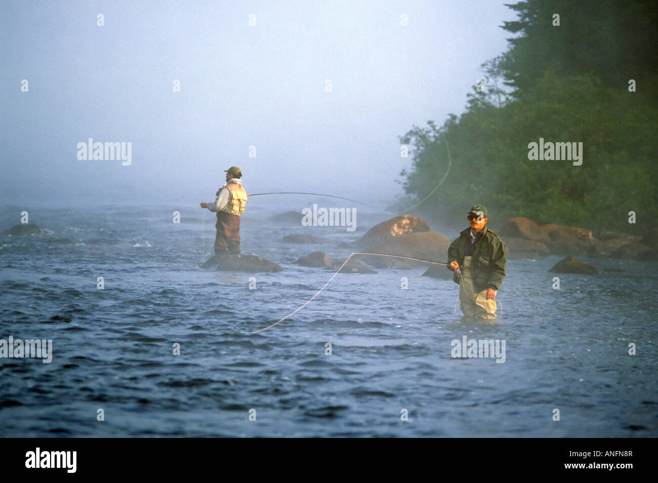 Salmon fishing in the Upper Humber River, Newfoundland, Canada Stock