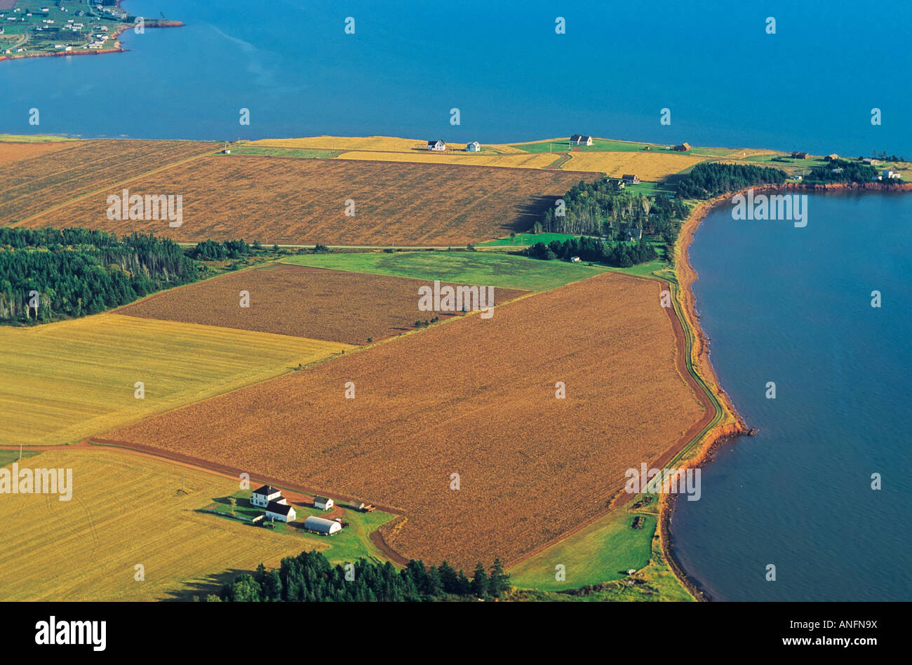 Aerial of a potato farm, Tryon, Prince Edward Island, Canada Stock Photo Alamy Aerial of a potato farm, Tryon, Prince Edward Island, Canada Stock Photo Alamy