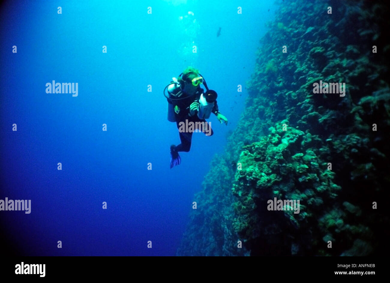 Underwater cameraman diving in the Red Sea Stock Photo Alamy
