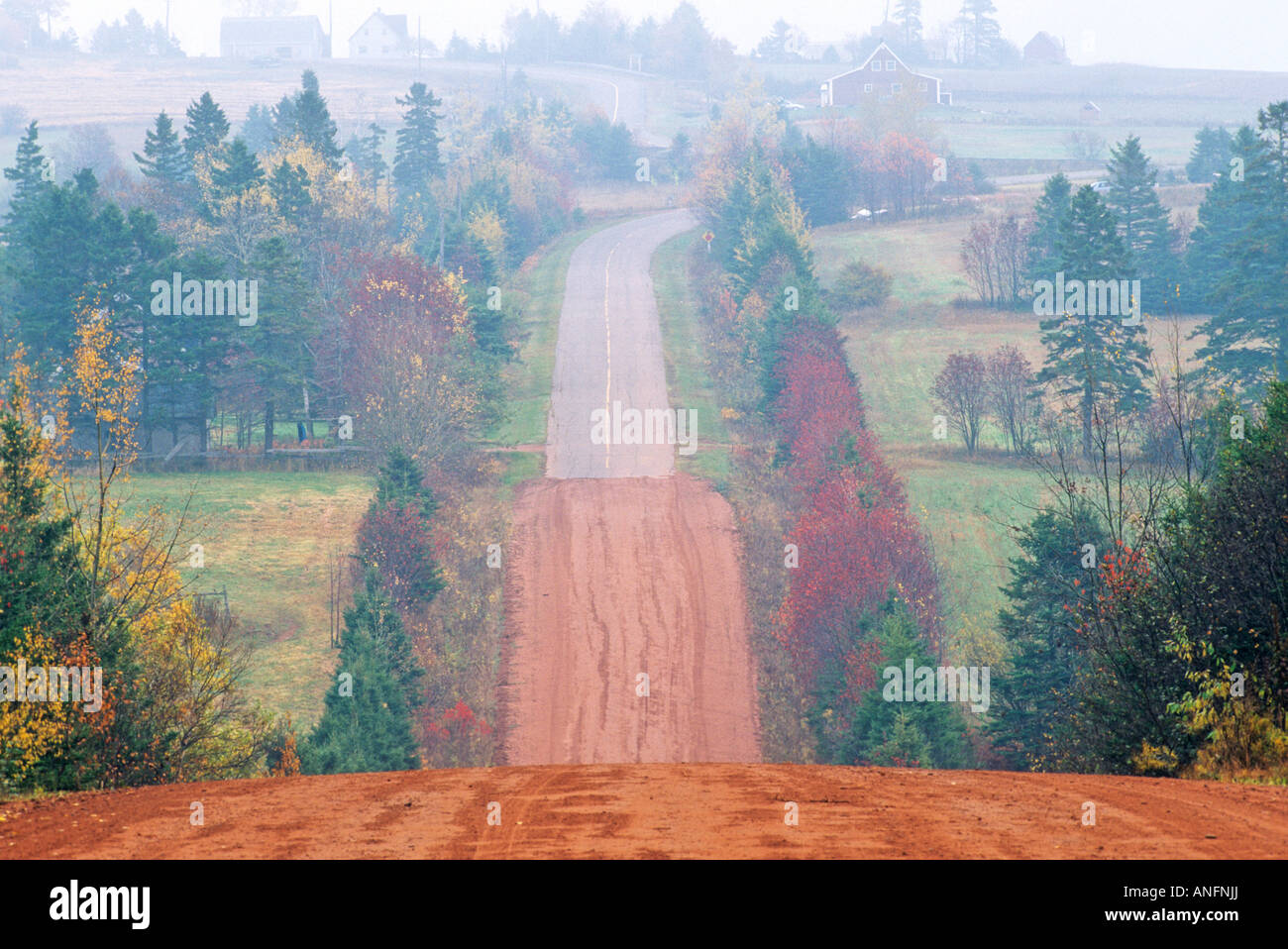Crapaud prince edward island hires stock photography and images Alamy