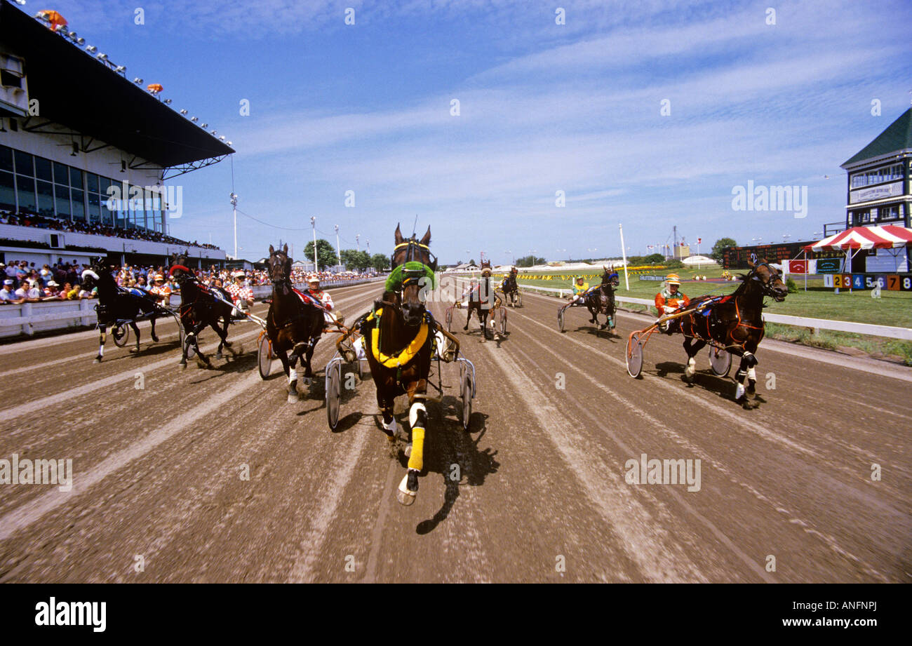 Harness Racing, Charlottetown Driving Park, Charlottetown, Prince